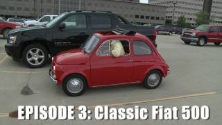 Giant Drives Classic Fiat 500  CAR and DRIVER [upl. by Moe17]