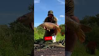 Korda Goo  It really works fishing carpangler carpfish carp korda carpangling [upl. by Bashuk]