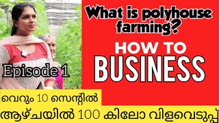 What is polyhouse farming Palakkad  Kerala jyothimaniwayanad [upl. by Ytinirt676]