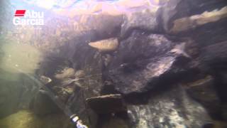 Abu Garcia Plankton Favorit swimming action [upl. by Marcos]