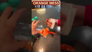 MAKING AN ORANGE MESS shorts [upl. by Alyss479]