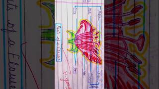 How to make parts of flower class 10 biology flower art video artist shorts viralvideo [upl. by Sutphin]