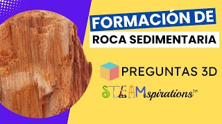 Dominando la formación de rocas sedimentarias  Preguntas 3D de STEAMspirations [upl. by Luebke]