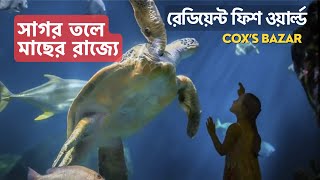 Radiant Fish World Coxs Bazar  Fish World Ticket Price  Fish World Location in coxs bazar [upl. by Battiste]