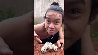 Survival Skill  Bird Eggs🥚 [upl. by Babara]