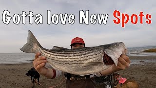 California Striper Fishing Point Pinole 2023  December [upl. by Pauline]