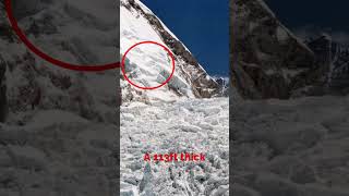 2014 Everest Avalanche shorts [upl. by Rubel968]