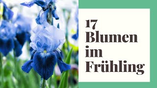 17 Blumen im Frühling die bunte Vielfalt in den Garten bringen [upl. by Lonergan190]