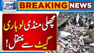 Big News  Fish Market Moved From Lohari Gate  Lahore News HD [upl. by Leanard]