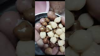 Restaurant style channa masala Side dish for chapathidosa [upl. by Modla650]