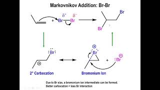 Lec11  Addition of chlorine and bromine to Alkenes and the Bromonium Ion [upl. by Stedt]