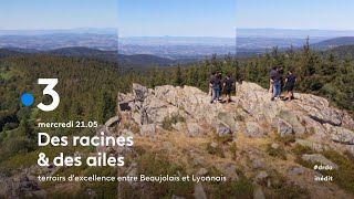 Terroirs dexcellence entre Beaujolais et Lyonnais  Bandeannonce [upl. by Juliana]