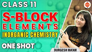 SBlock Elements Class 11  One Shot  Inorganic Chemistry  Durgesh Maam  Vedantu [upl. by Onitnerolf]