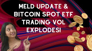 323 MELD UPDATE amp BITCOIN SPOT ETF TRADING VOL EXPLODES [upl. by Akeyla527]