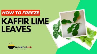 Freeze Kaffir Lime Leaves in 4 Simple Steps  Bloggingoodfoodcom [upl. by Odilia]