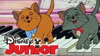 ARISTOCATS  Vorschau  am 06 Februar auf DISNEY JUNIOR [upl. by Alyam]