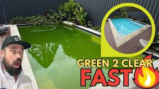 HOW TO CLEAN A GREEN POOL FAST [upl. by Anaic]