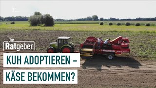 Crowdfarming Ein erfolgreiches Konzept für die Landwirtschaft  die Ratgeber [upl. by Pell]