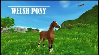 STAR STABLE UPDATED Welsh Pony GAITS amp INFO [upl. by Eatnoed]