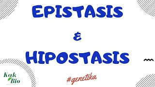 Persilangan Epistasis amp Hipostasis  Penyimpangan Hukum Mendell [upl. by Delanie]