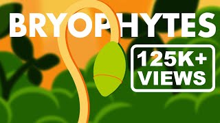 Bryophytes Class 11  Life Cycle of Bryophytes ANIMATION  Plant Kingdom Class 11  NEET [upl. by Ahsienat277]