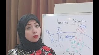 Hormone Biochemistry Session 7Insulin Receptors [upl. by Uel967]