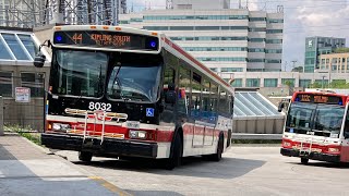 TTC Live 8101 amp 3 Other Bus Rides 5212024 [upl. by Sherilyn]