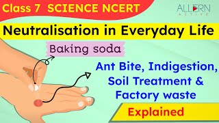 Application of Neutralisation in Everyday Life  NCERT Class 7  Acid Bases amp Salts  Allern Active [upl. by Meekar896]