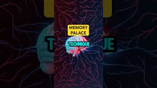 Unlock Your Photographic Memory  The Memory Palace Technique [upl. by Hemphill]