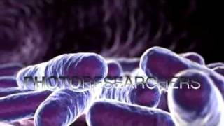 E Coli Bacteria  Photo Researchers [upl. by Hackathorn694]