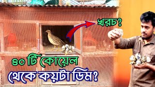 ৪০ টি পাখি পালনে খাদ্য খরচ কত কোয়েলপাখিপালন [upl. by Cheadle934]