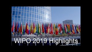 WIPO 2019 A Year in Highlights [upl. by Mcgregor]