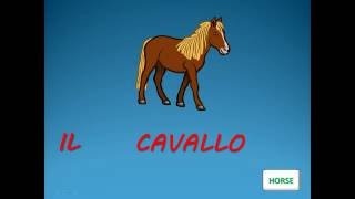 ITALIAN VOCABULARY  ANIMALS  Vocaboli italiani  animali  ITALIAN LESSONS  ITALIENISCH  TIERE [upl. by Maice]