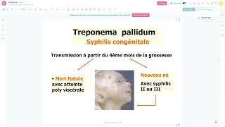 Bacteriologie  Le Treponema Pallidum Syphilis FMPC [upl. by Aneres426]