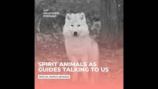 Spirit Animals as Guides Talking with Us [upl. by Bagger]