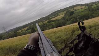 Pigeon Shooting  Wood Pigeon Shooting in 50 mph winds  Go Pro [upl. by Mayap306]