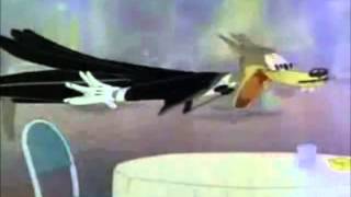 Tex Avery Wolf goes crazy [upl. by Allis497]