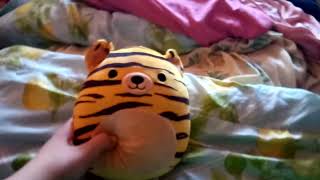 Tina The Tiger Squishmallow Toy Review [upl. by Cesare]