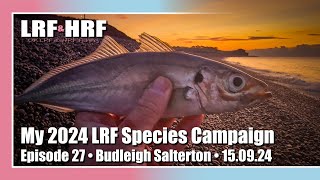 Episode 27 My 2024 LRF Species Hunt  Budleigh Salterton [upl. by Michiko]