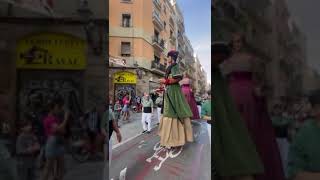 Els Gegants del Pi al Raval de Barcelona 🎉 Quina serà la propera sortida 🤔 gegants [upl. by Anselmo]