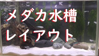 【メダカ水槽レイアウト】室内メダカ水槽の低床を変える [upl. by Keith189]