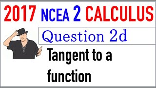 2017 NCEA 2 Calculus Exam Q2d [upl. by Iraj481]