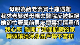 母親為給老婆買土雞遇難，我求老婆送母親去醫院反被拒絕，她卻忙著靠在前男友懷裏打情罵俏，我心死 離開了這個骯臟的家，轉頭讓她凈身出戶悔不當初【清風與你】深夜淺讀 花開富貴一口氣看完小說 [upl. by Alexine]