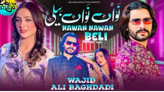 Nawan Nawan Beli Wajid Ali Baghdadi Pakistani Punjabi Song [upl. by Vincenty553]