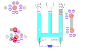 hofmann voltameter HD 1080p [upl. by Cul]