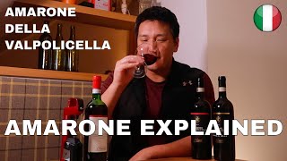 Big RED WINE  Amarone Explained [upl. by Jerrol415]