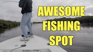 Fishing Floridas Loxahatchee River [upl. by Haman900]