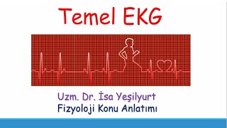 Temel EKG  EKG Dalgaları Kalbin Hızı Aksı Ritmi tus fizyoloji [upl. by Ynes]