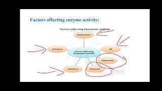 Lab 4 enzyme [upl. by Llehcim]