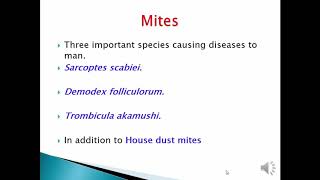 Arthropods lecture Mites species Dr Manar Elmehankar [upl. by Ennaoj163]